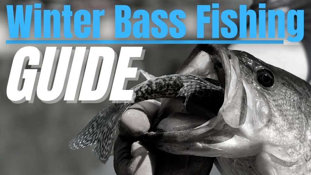 These cold-water bass secrets will help you figure out where cold water bass are more likely to congregate.